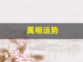 属相运势(今日属相运势)