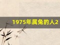 1975年属兔的人2013年运程(1975年的兔子2020年运程)