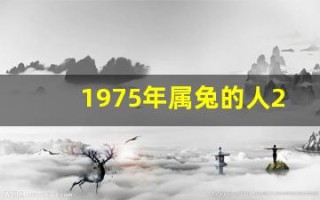 1975年属兔的人2013年运程(1975年的兔子2020年运程)