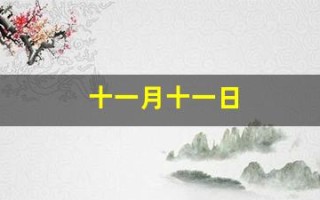 十一月十一日(十一月十一日农历是多少)