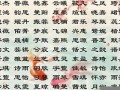 2013女孩子名字大全(2013名字大全女孩名字)