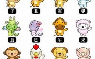 2013年属相运势(2013年运势12生肖运势)