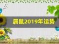 属鼠2019年运势(属鼠2019年运势及运程)