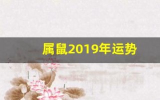 属鼠2019年运势(生肖鼠2019年运势大全)