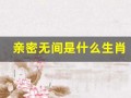 亲密无间是什么生肖(亲密无间是什么生肖正确答案)