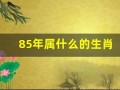 85年属什么的生肖(84年属什么的生肖)