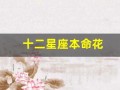 十二星座本命花(十二星座本命花简笔画)
