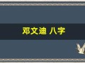 邓文迪 八字(邓文迪八字格局)