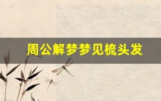周公解梦梦见梳头发(周公解梦梦见梳头发掉头发)