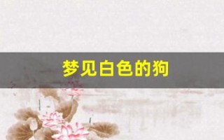 梦见白色的狗(梦见白色的狗什么意思)