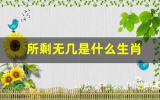 所剩无几是什么生肖(所剩无几是什么生肖澳门)
