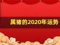 属猪的2020年运势怎么样(属猪2020年运势及运程详解)
