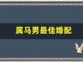 属马男最佳婚配(属马男最佳婚配属相 上上等)