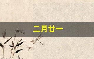 二月廿一(二月廿一是什么意思)