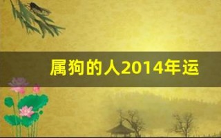 属狗的人2014年运程(属狗人2014年运势运程)