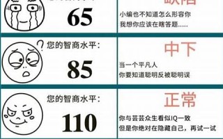 测试iq(测试ipv6)