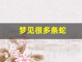 梦见很多条蛇(梦见很多条蛇是什么预兆)