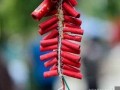 梦见鞭炮(梦见鞭炮炸到自己身上)