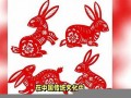 2011年属什么生肖(2011年属什么生肖今年多大)