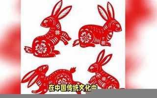 2011年属什么生肖(2022年属什么生肖)