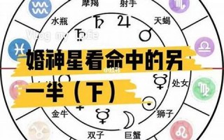 星座命理测算(星座算命占卜)