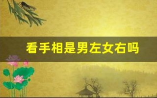 看手相是男左女右吗(手相怎么看 男士)