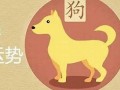 属狗的和什么属相最配、相克(相克相冲)