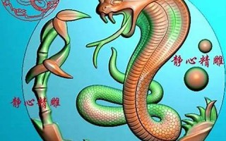 蛇和什么属相最配(生肖蛇和什么属相最配)