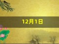 12月1日(12月1日什么日子)