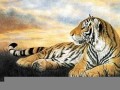 属虎人2020年下半年运势(属虎的2020下半年财运和运气如何)