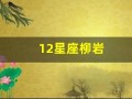 12星座柳岩(柳岩十二星座高清)