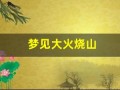 梦见大火烧山(梦见大火烧山自己在火中逃生)