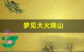 梦见大火烧山(梦见大火烧山自己在火中逃生)