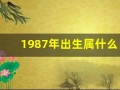 1987年出生属什么(1987年出生属什么的生肖)